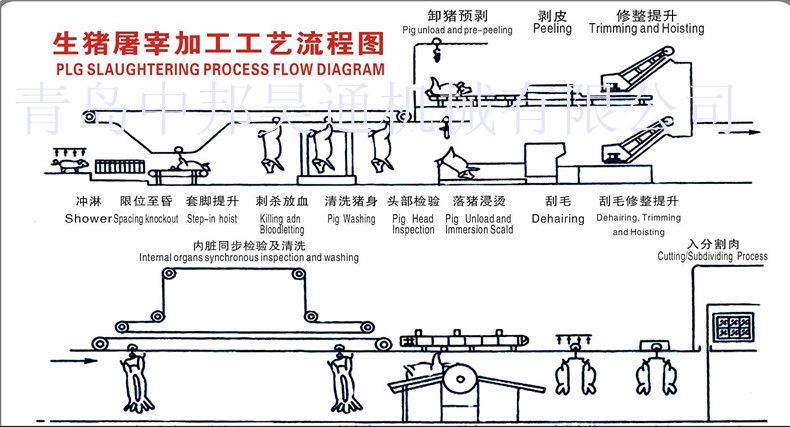 猪屠宰流水线示意图