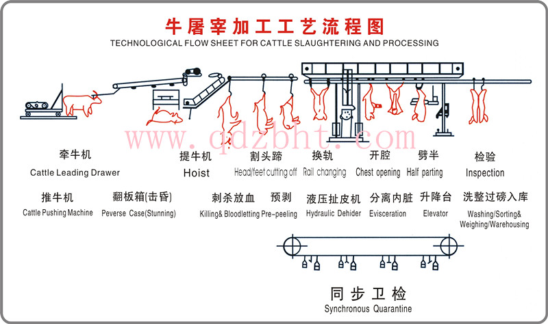 牛屠宰流水线示意图