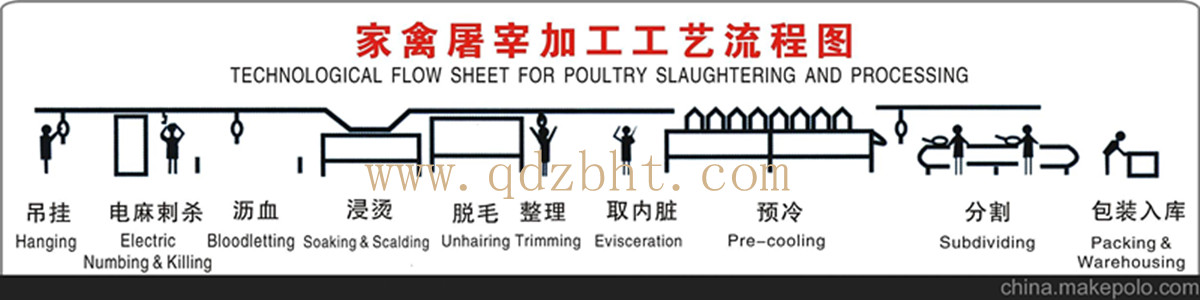 家禽屠宰流水线示意图